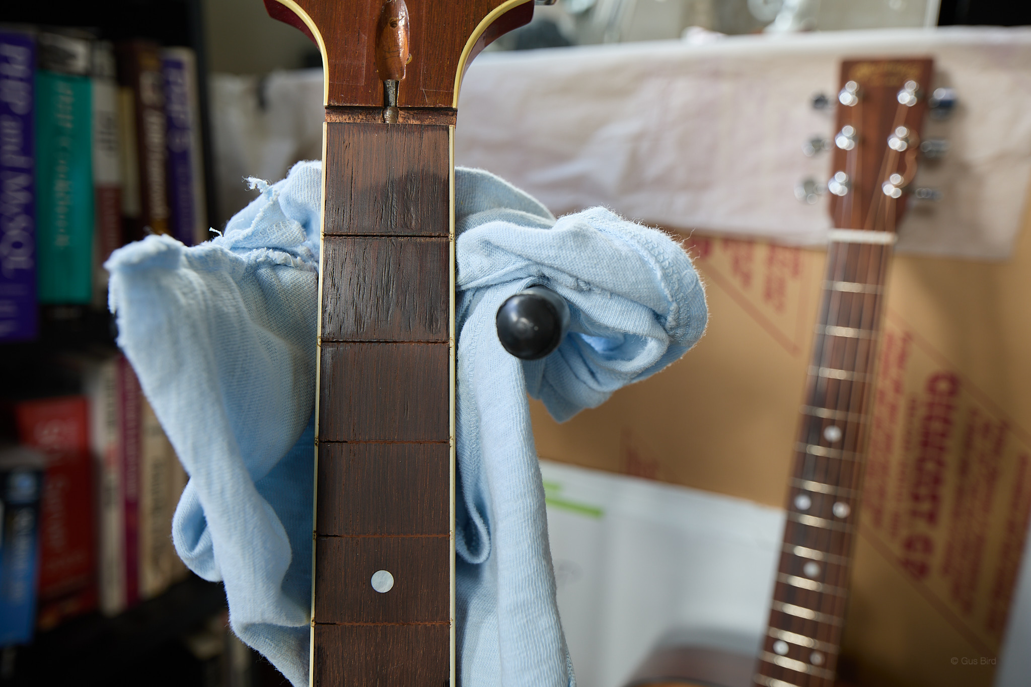 fretboard detail