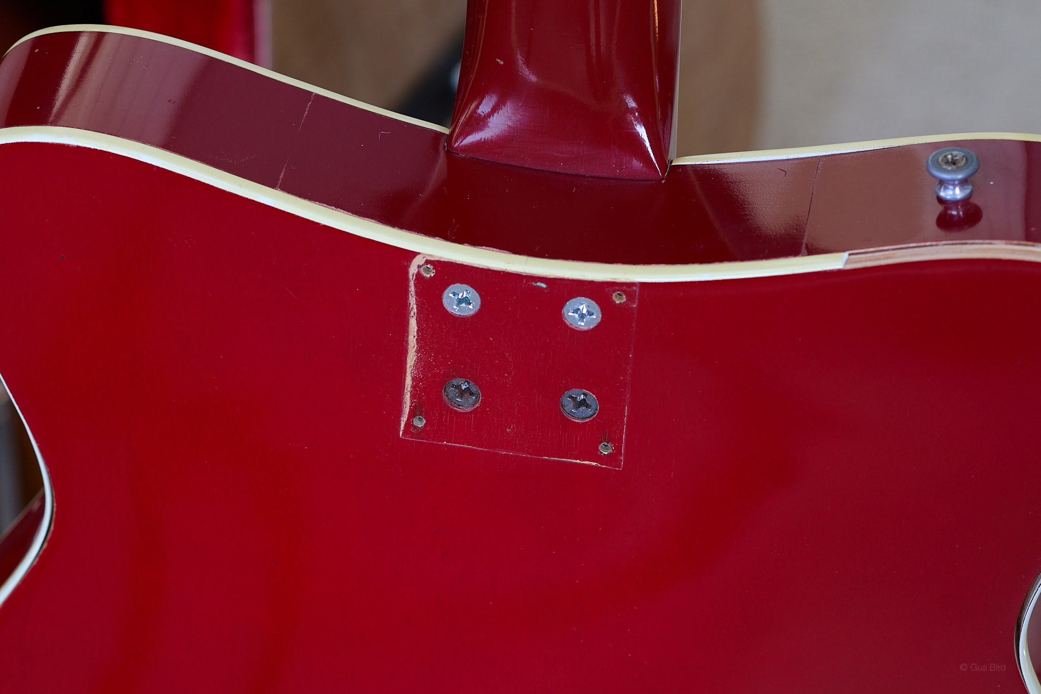 neck screws