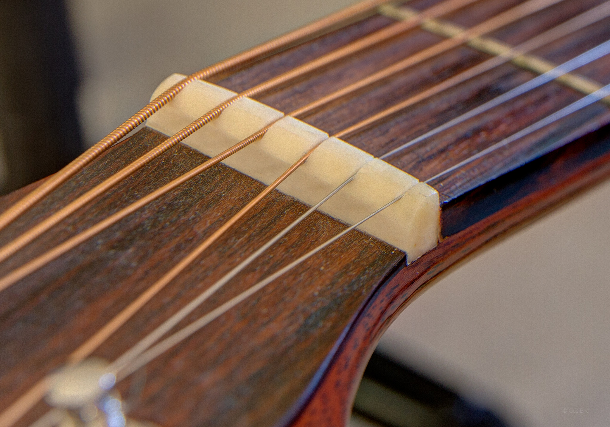 Martin D-18 nut