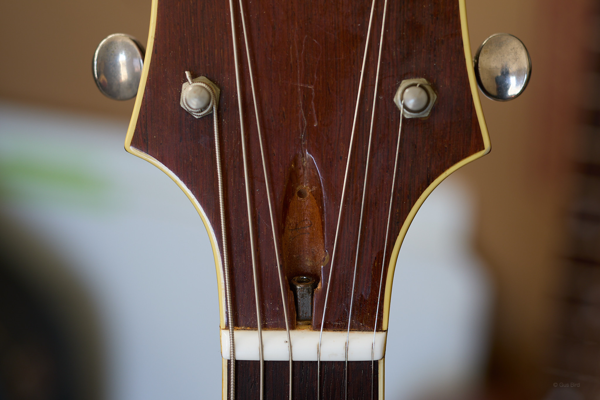 truss rod nut